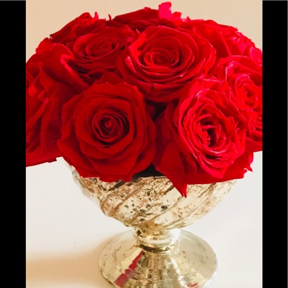 Meet your Posher, Denise - Picture 5 of 6